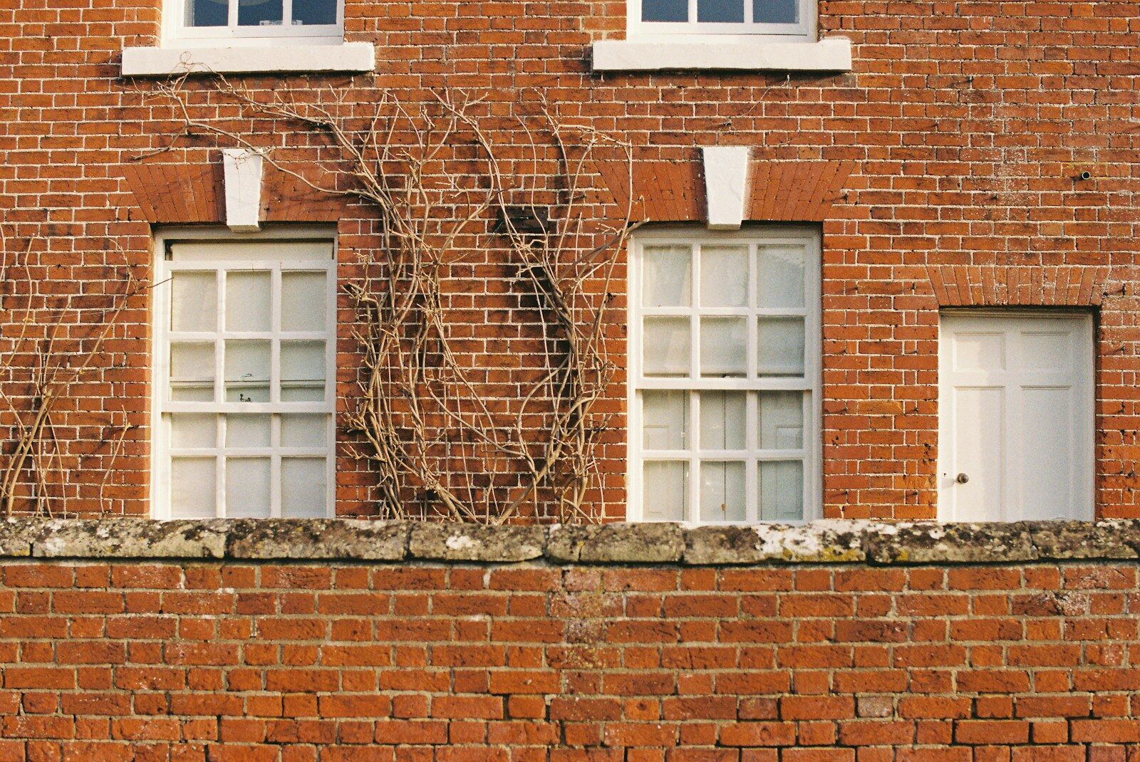 Impact of Currency Fluctuations